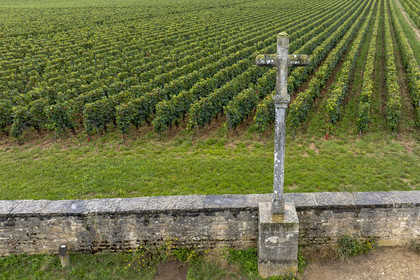 France, Cote d'Or, cultural Landscape of the climates of Burgundy listed as World Heritage by UNESCO, Route des Grands Crus (road of Vintage Wines), vineyard of the Côte de Nuits, Vosne Romanée, the vineyard of the Domaine de la Romanée-Conti