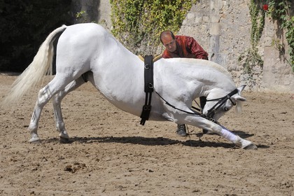 France, Loir et Cher, Loire Valley listed as World Heritage by UNESCO, Chateau de Chambord, equestrian art show