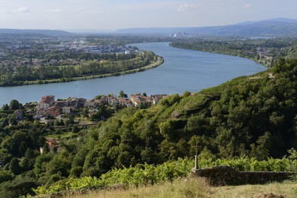 France, Rhone, view over the Rhone river from the heights of the village of Condrieu and its vineyard