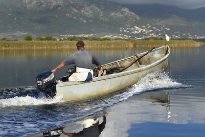 France, Haute-Corse (2B), pecheur en barque sur l'étang de Biguglia (stagnu di Chjurlinu) et Aigrette garzette (Egretta garzetta), réserve naturelle de Corse (RNC)