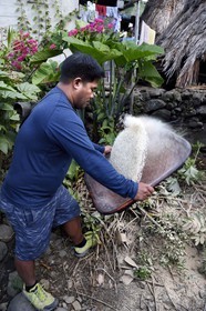 Philippines, Ifugao province, Banaue region, village of Cambulo, a Ifugao men winnowing rice