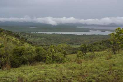 Rwanda, Parc national de l'Akagera, lac Birengero