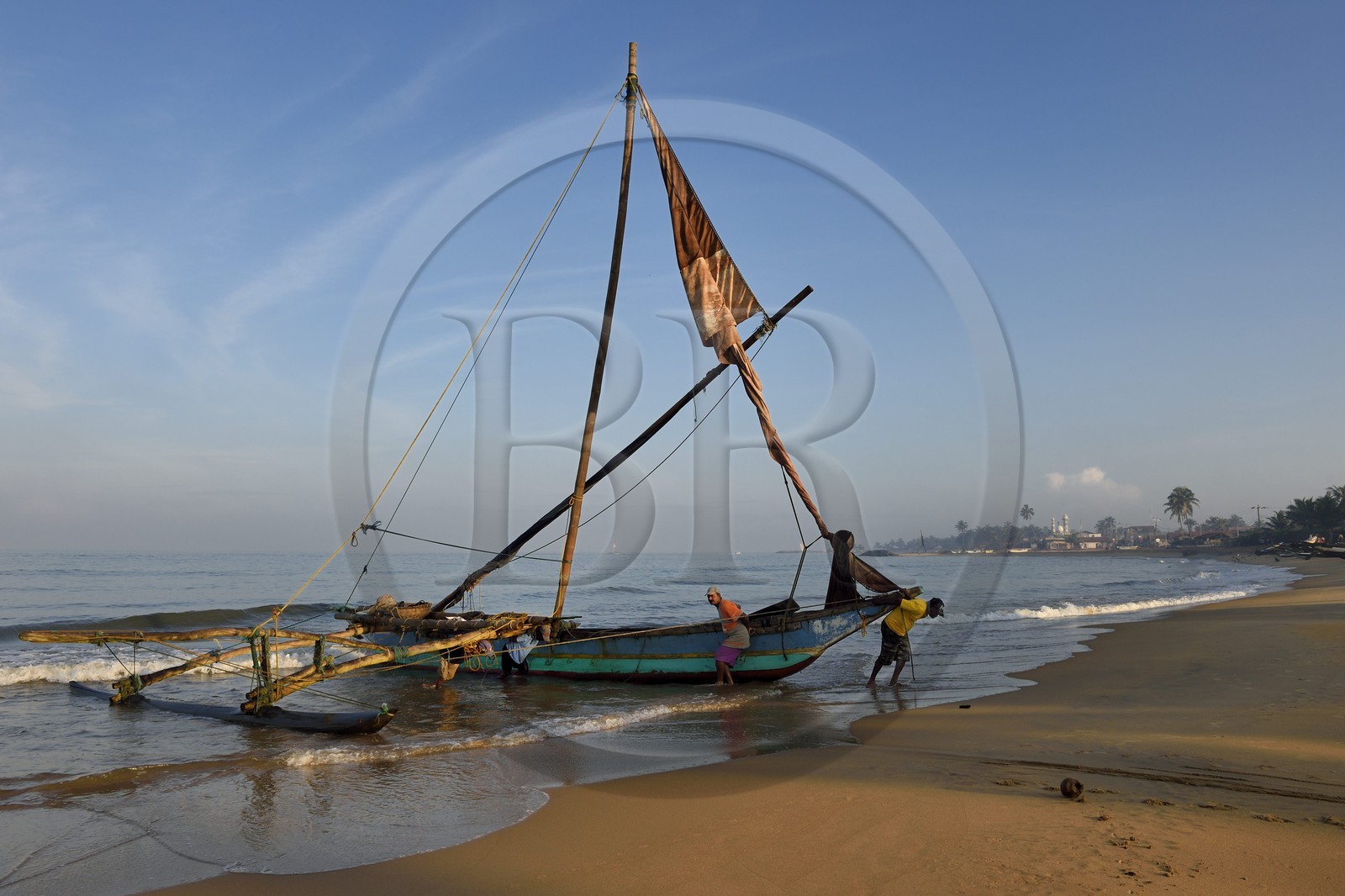 Sri Lanka, Province de l'Ouest, Negombo, retour sur la plage de Porathota des pecheurs et de leur catamarans traditionnels après la peche du matin