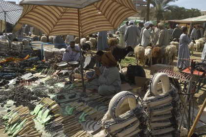 Egypte, Haute Egypte, Daraw au nord d'Assouan, marché aux animaux, étal d'accessoires et ferronneries