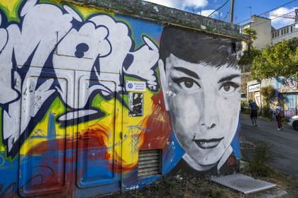 France, Finistère (29), Brest, la Saint Malo dans le vallon du Pontaniou en contrebas du plateau des Capucins dans le quartier de Recouvrance, street art, représentation de Audrey Hepburn