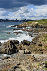 France, Finistere (29), Moelan sur Mer, the coast between Kerfany les Pins and the beach of Trenez along the GR 34 hiking trail or sentier des douaniers (customs trail)