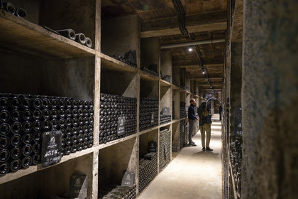 France, Cote d'Or, Climats terroirs of Burgundy listed as World Heritage by UNESCO, Beaune, the cellars of Maison Patriarche, a wine merchant-breeder company