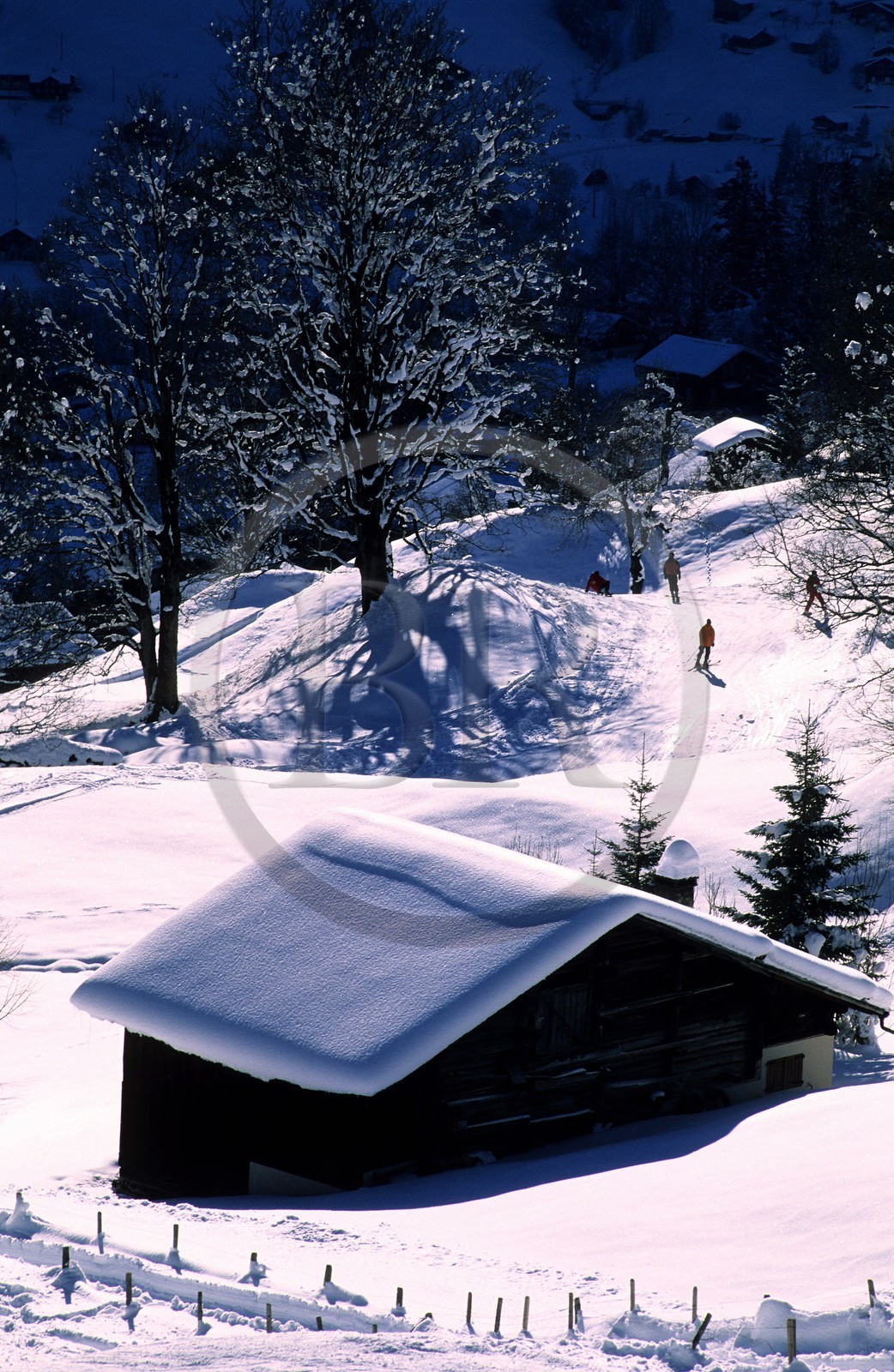 Suisse, région de Bern (Oberland Bernois), Grindelwald