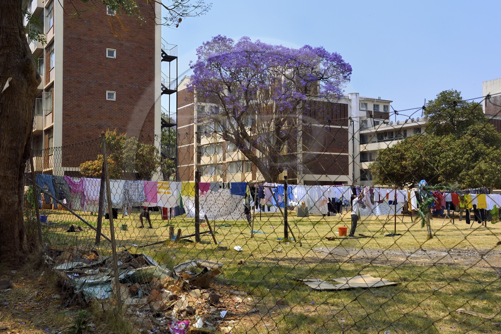 Zimbabwe, Harare, immeubles populaires sur Simon Muzenda street