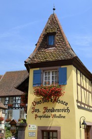 France, Haut Rhin, Eguisheim, labelled Les Plus Beaux Villages de France (The Most Beautiful Villages of France), house of the winemaker Joseph Freudenreich, tasting and wine sale