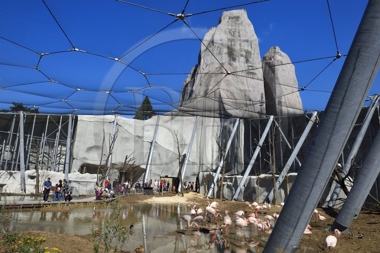 France, Paris (75), Le Parc zoologique de Paris (Zoo de Vincennes), flamands roses (Phoenicopterus roseus) dans la grande volière et en arrière plan le Grand Rocher qui est l’emblème du zoo depuis 1934