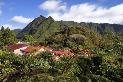 France, Reunion island (French overseas department), La Plaine des Palmistes, traditional creole houses and tree ferns