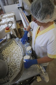 France, Côte d'Or (21), Flavigny-sur-Ozerain, la fabrique des Anis de Flavigny dans l'ancienne abbaye bénédictine