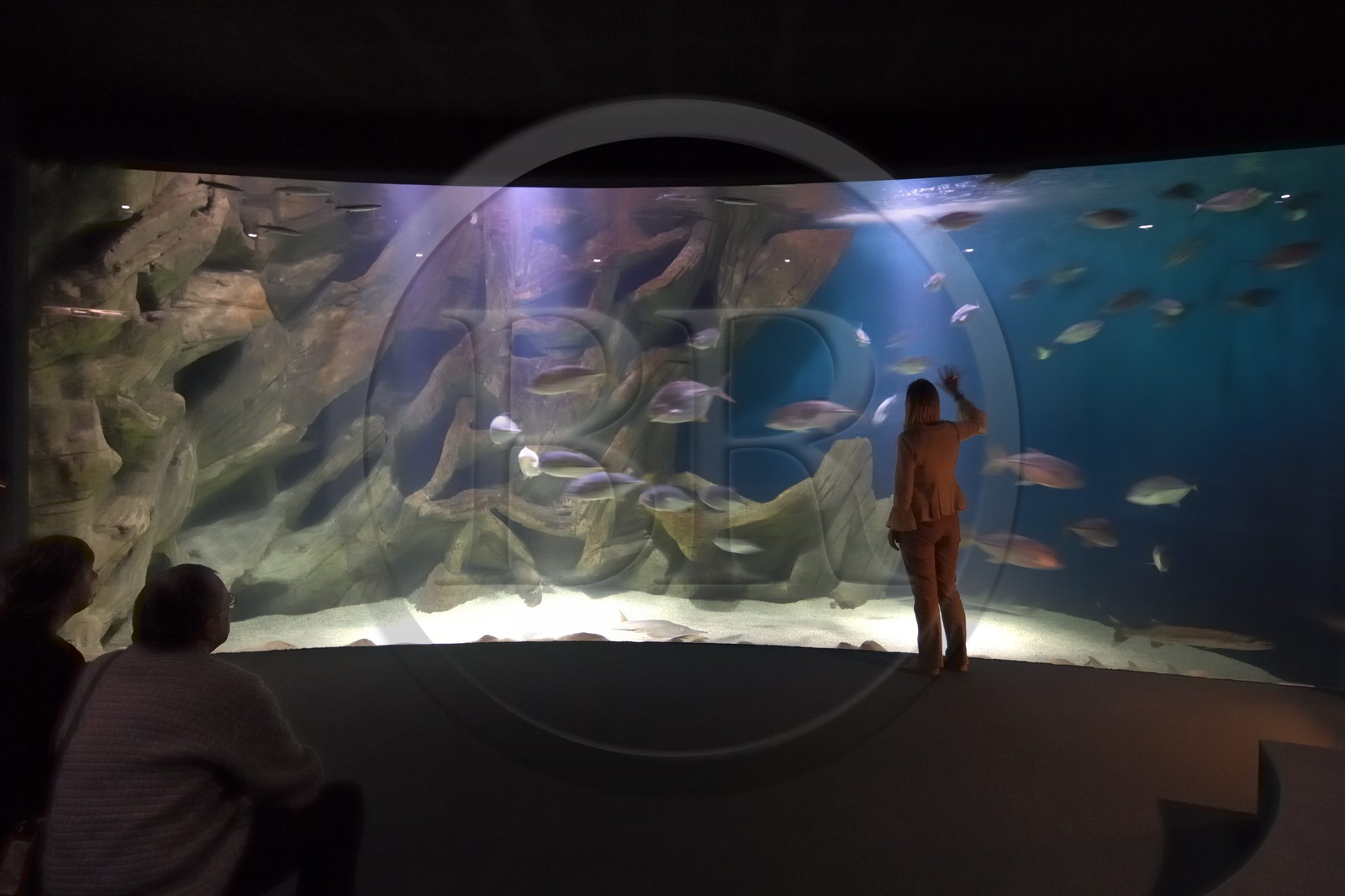 France, Charente-Maritime (17), La Rochelle, l'Aquarium