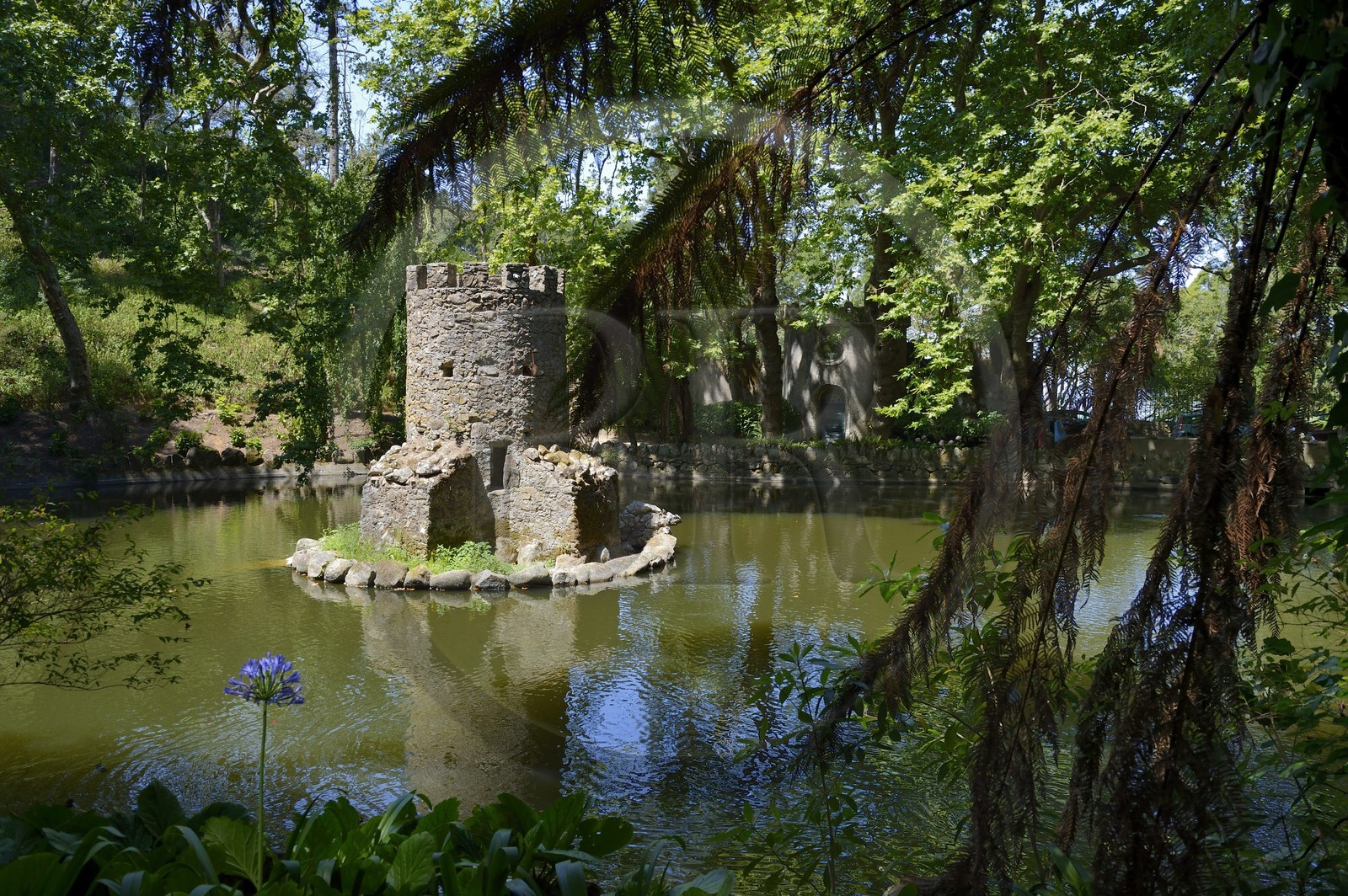 Portugal, région de Lisbonne, Sintra, classée Patrimoine Mondial de l'UNESCO, parc du Palais national de Pena (Palacio Nacional da Pena)