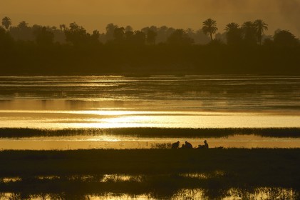 Egypte, Haute Egypte, vallée du Nil, barque de pêcheur sur le Nil entre Louxor et Esna