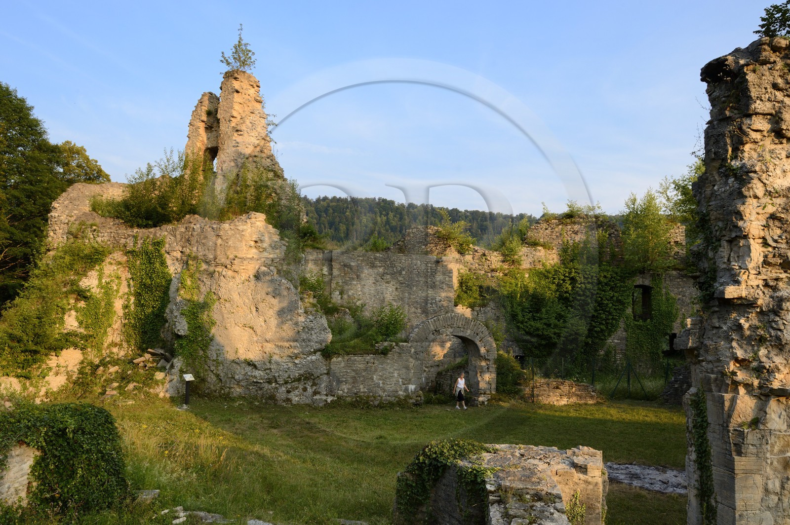 France, Haut-Rhin (68), Sundgau, Oberlarg, ruines du château du Morimont du XIIème siècle
