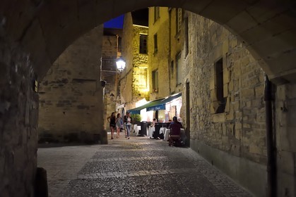 France, Dordogne, Perigord Noir, Dordogne valley, Sarlat la Caneda, passage Henri de Ségogne and the restaurant Les Jardins d'Harmonie