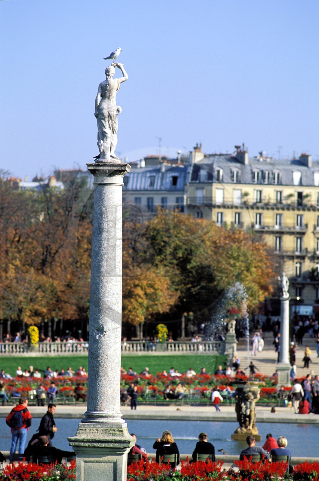 France, Paris (75), jardin du Luxembourg, autour du grand bassin