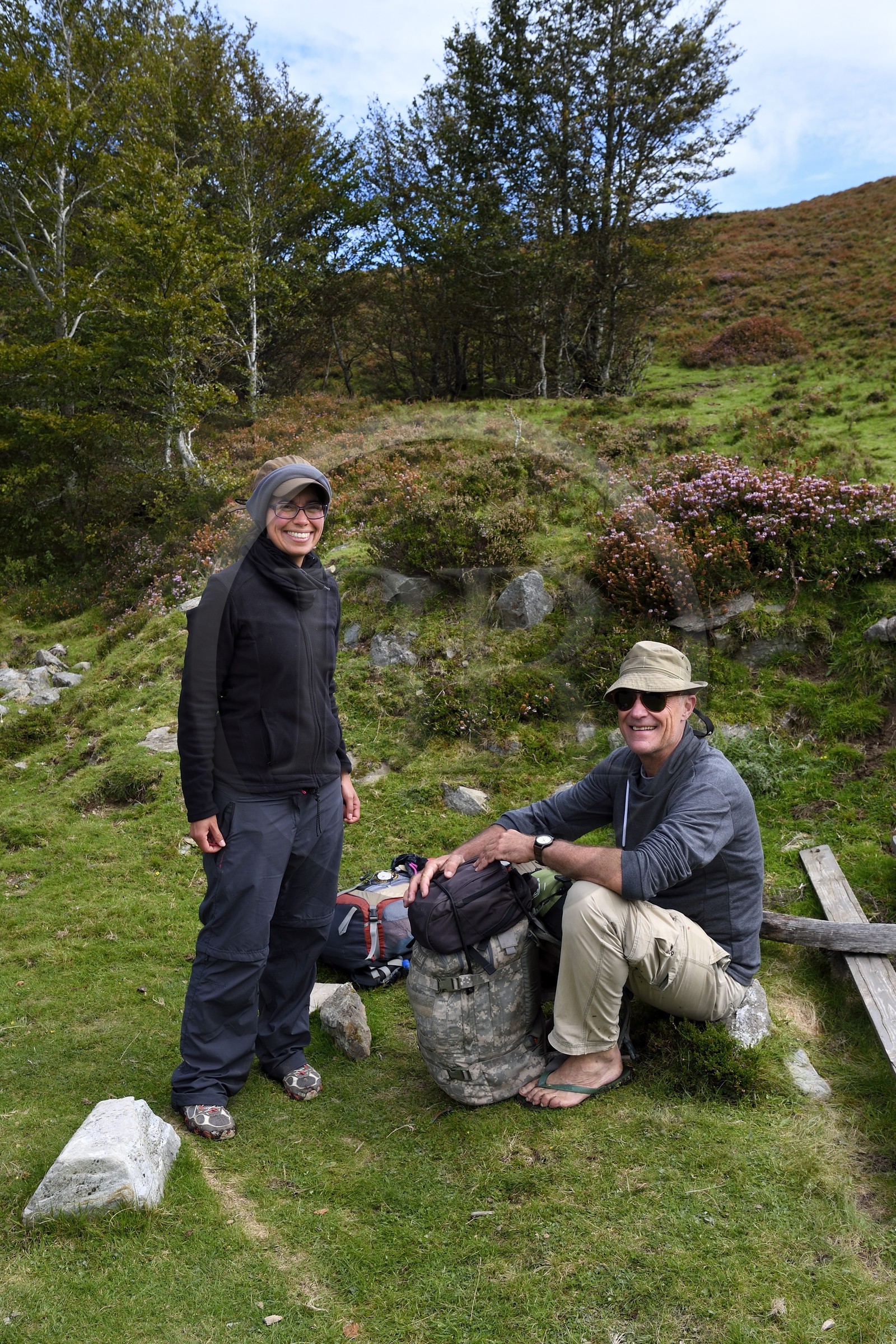 France, Pyrénées-Atlantiques (64), Pays-Basque, chemin de Saint-Jacques de Compostelle sur le GR 65 entre Saint-Jean-Pied-de-Port et Roncevaux vers le col de Bentarte