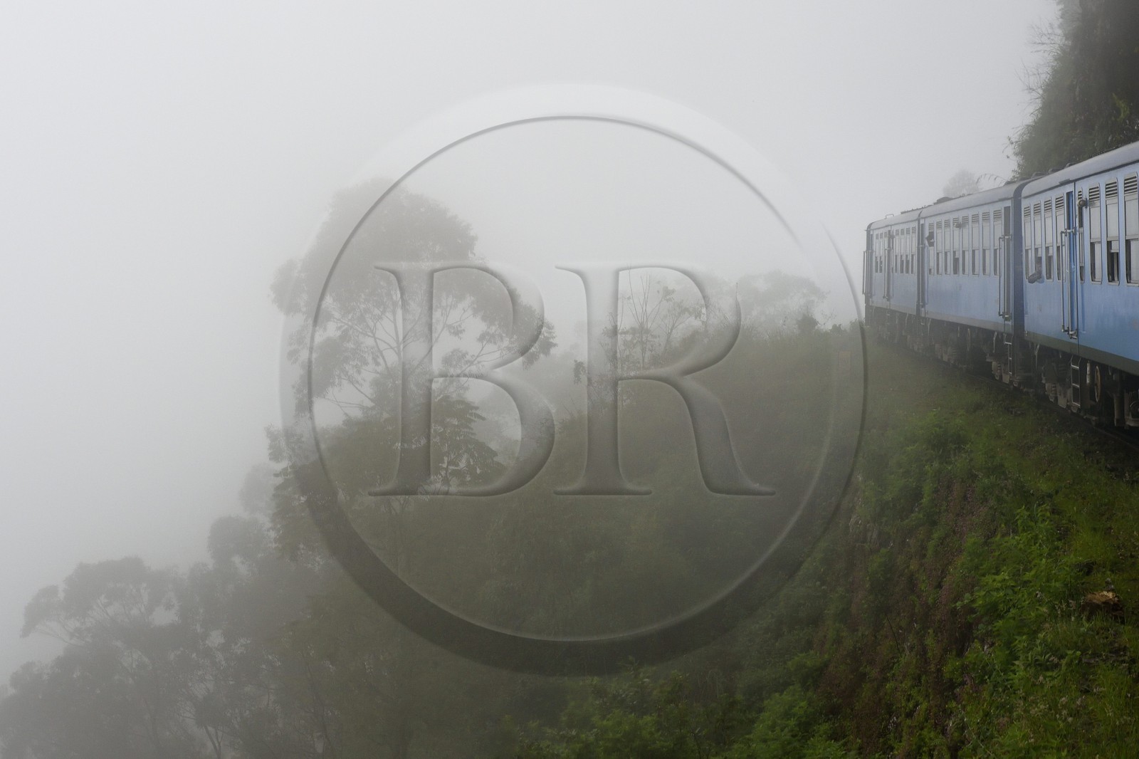Sri Lanka, Province d'Uva, trajet en train dans la région montagneuse de la culture du thé entre Hatton et Badulla, en bordure de la forêt de nuages du parc national de Horton Plains