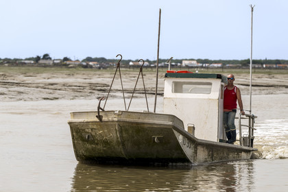France, Charente Maritime, Oleron island, Dolus d’Oléron, oyster barge in the Chenal d’Arceau
