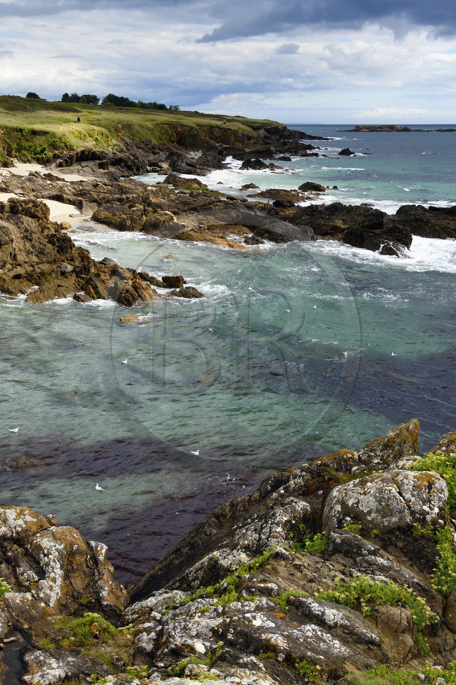 France, Finistère (29), Moelan-sur-Mer, le littoral entre Kerfany les Pins et la plage de Trenez sur le chemin de Grande Randonnée GR 34 ou sentier des douaniers