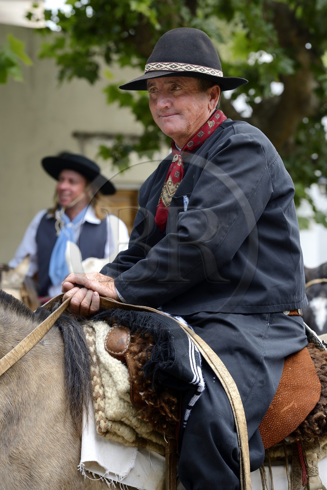 Argentine, province de Buenos Aires, San Antonio de Areco, gaucho à la fête du Jour de la Tradition (Dia de la Tradicion)