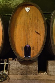 France, Bas-Rhin (67), Route des Vins d'Alsace, Mittelbergheim, labellisé Les Plus Beaux Villages de France, cave du Domaine Wittmann, l'ouvrier agricole Anthony Frey à l'intérieur d'un grand fût aussi appellé foudre pour son nettoyage