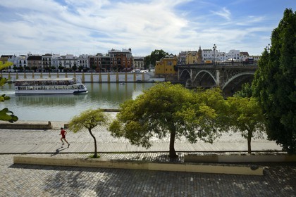 Spain, Andalusia, Seville, Guadalquivir river Banks, Triana in the background