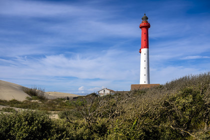 France, Charente-Maritime (17), Royan, La Tremblade, le Phare de La Coubre