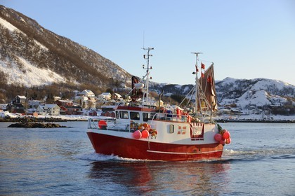 Norvège, Nordland, iles des Westeralen, région de Myre, bateau de pêche du cabillaud skrei