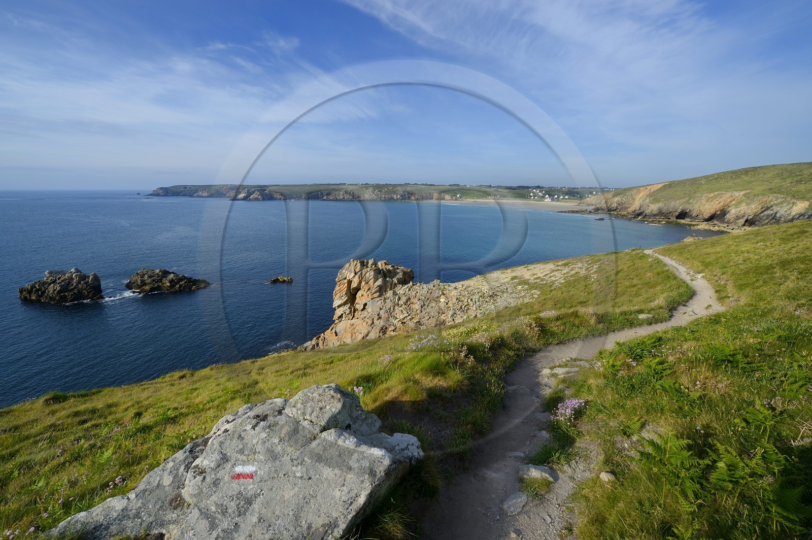 France, Finistère (29), Mer d'Iroise, Plogoff, la Baie des Trépassés entre la Pointe du Raz et la Pointe du Van en arrière plan, sentier du GR 34