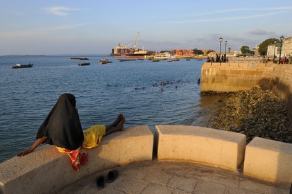 Tanzania, Zanzibar Archipelago, Unguja island (Zanzibar), Stone Town, listed as World Heritage by UNESCO, the trade port seen from the Forodhani gardens