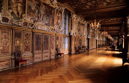 France, Seine et Marne, Chateau de Fontainebleau, François Ier gallery