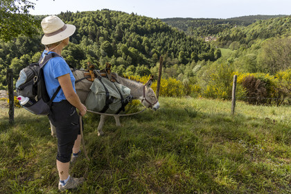 France, Lozere, Cheylard-l'Evêque, hiking with a donkey on the Stevenson trail (GR 70), the village in the valley
