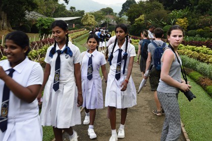 Sri Lanka, province du centre, Kandy, jardin botanique de Peradeniya, sortie scolaire de jeunes filles et touriste