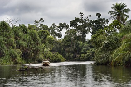 Gabon, province de Ogooué- Maritime, Parc National du Loango, bateau à moteur sur une rivière du site de Akaka dans la lagune du Fernan Vaz (Nkomi)