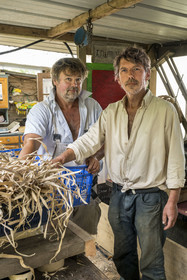 France, Morbihan, Groix Island, Kerdurand, the Gardens of Kerdu, large organic market garden by Erwan (left) and Gael (right) Leclercq