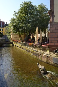 Germany, Baden-Wurttemberg, Freiburg im Breisgau, Gerberau street in the snails suburb (Schnecken-vorstadt), the statue of the crocodile in the Gewerbekanal waters