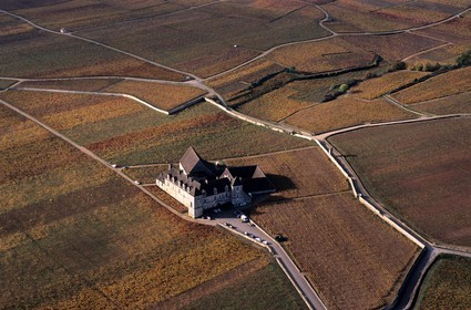 France, Côte-d'Or (21), château du Clos de Vougeot au milieu des vignes en automne (vue aérienne)