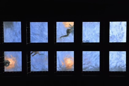 Espagne, Pays basque espagnol, Biscaye, Bilbao, Azkuna Zentroa, ancien entrepot vinicole municipal Alhóndiga datant de 1909 entierement restructuré par Philippe Starck pour accueillir un centre culturel et de loisirs, la piscine vue par en dessous