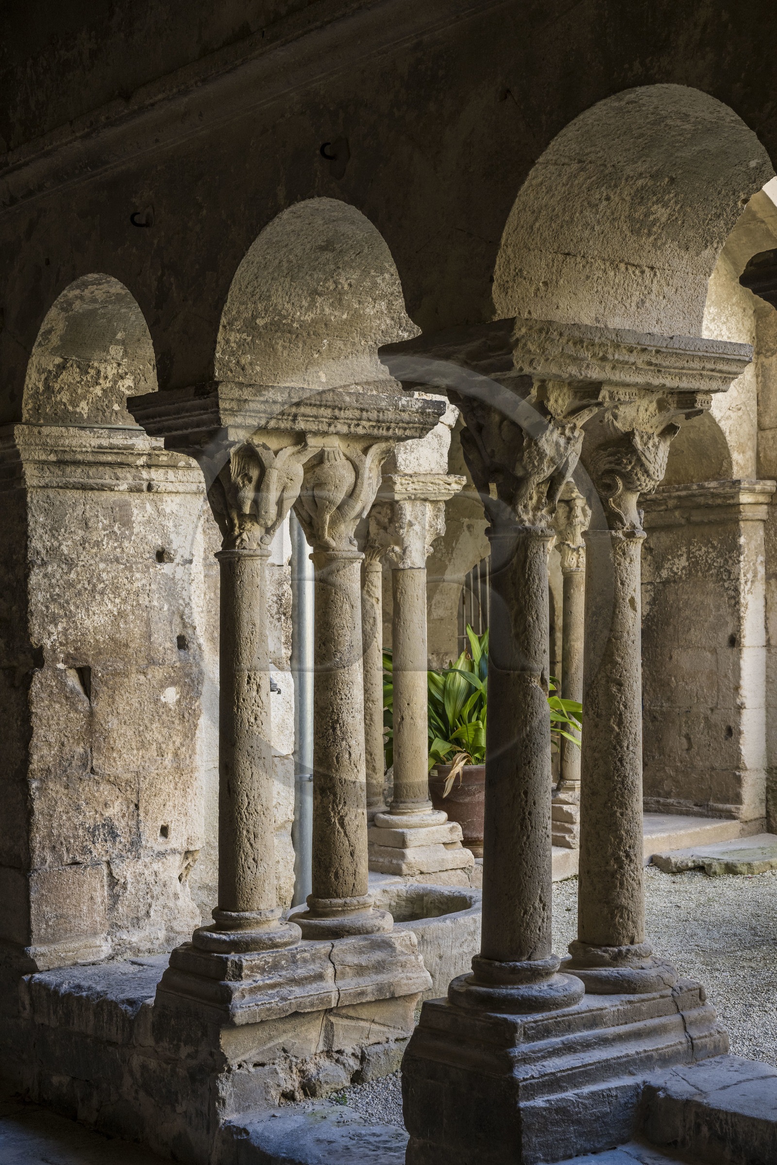 France, Bouches-du-Rhône (13), Parc Naturel Régional des Alpilles, Saint-Rémy-de-Provence, monastère Saint-Paul-de-Mausole, où Van Gogh fût interné en 1889-1890, le cloitre roman du 11e et 12e siècle