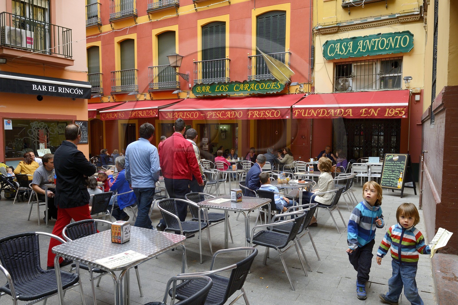 Espagne, Andalousie, Séville, quartier de Santa Cruz, restaurant et bar à tapas de la plaza Alfalfa