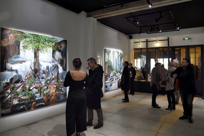 France, Paris (75), exposition Germination de l'artiste Fred Kleinberg à la galerie Loo & Lou Haut-Marais