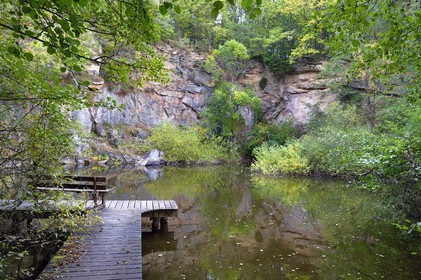 France, Haut-Rhin (68), Thannenkirch, randonnée dans le massif du Taennchel, ancienne carrière de granit dans la foret de Bergheim