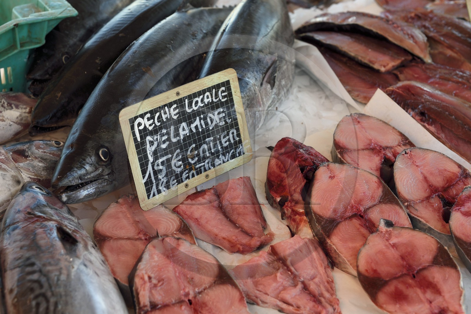 France, Var (83), Sanary-sur-Mer, vente de la pêche du matin sur les quais
