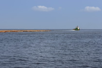 Gabon, province de Ogooué- Maritime, région de Port-Gentil, billes de bois transportées en radeau jusqu'à Port-Gentil dans la baie du Cap Lopez