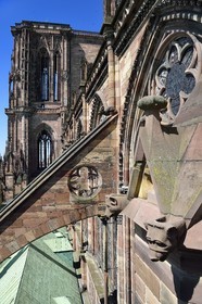 France, Bas Rhin, Strasbourg, old town listed as World Heritage by UNESCO, Notre Dame Cathedral, flying buttresses of the southern facade and gargoyles