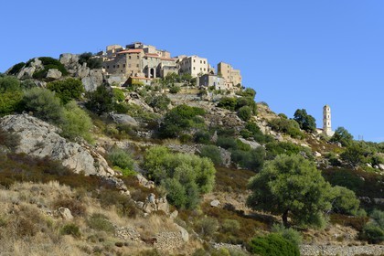 France, Haute Corse, Balagne, perched village of Sant'Antonino, labelled Les Plus Beaux Villages de France (The Most Beautiful Villages of France), general view of the village with the Anounciation church bell tower